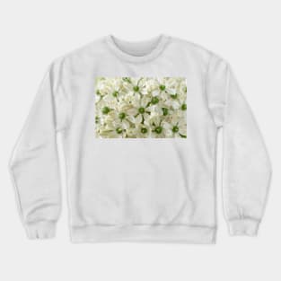 Allium nigrum  Black garlic  Allium multibulbosum Crewneck Sweatshirt